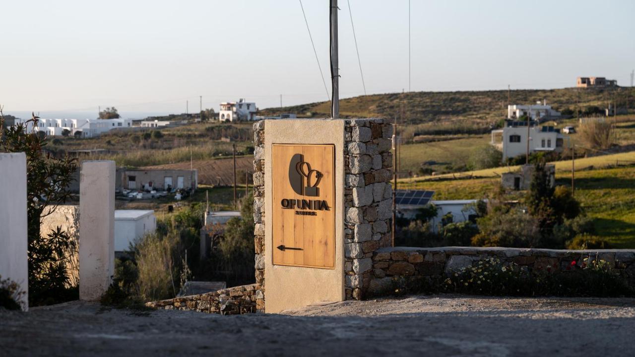 Naxos City Opuntia Suites מראה חיצוני תמונה