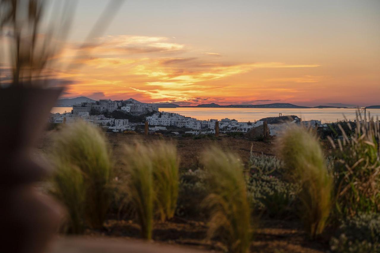 Naxos City Opuntia Suites מראה חיצוני תמונה